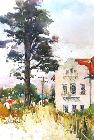 Summer in the Presidio